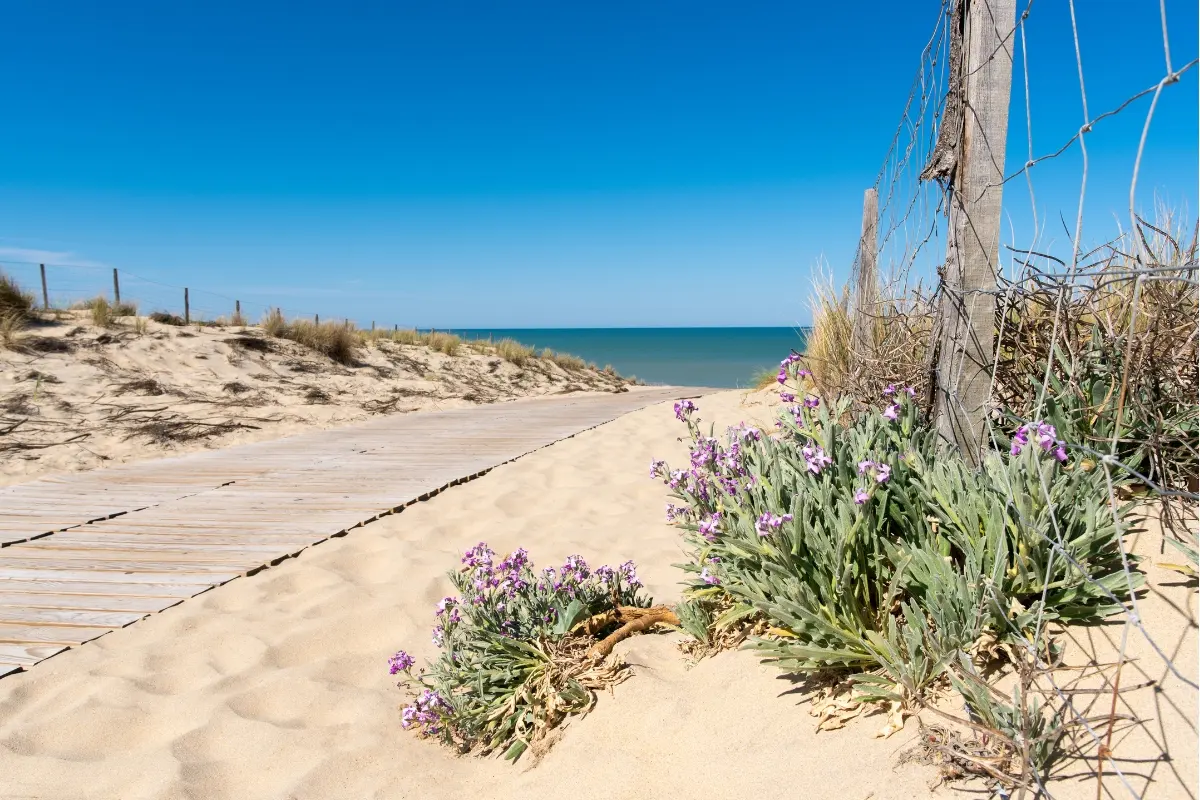 tourisme lacanau plage